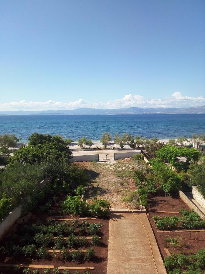Apartments Zvonimir,Place By The Sea Mirce 外观 照片