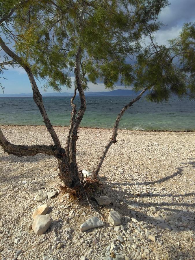 Apartments Zvonimir,Place By The Sea Mirce 外观 照片