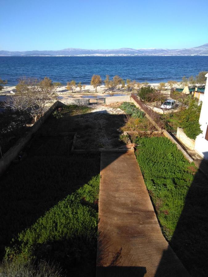 Apartments Zvonimir,Place By The Sea Mirce 外观 照片